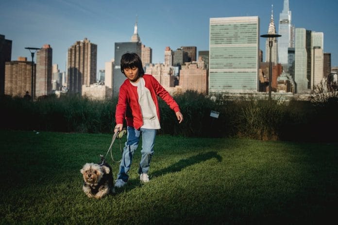 does steve madden heels run small_2