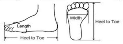heel-to-toe-size-measurement